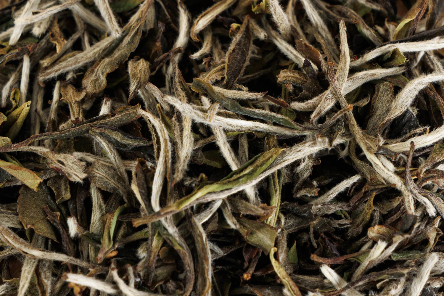 white tea - YUYUN